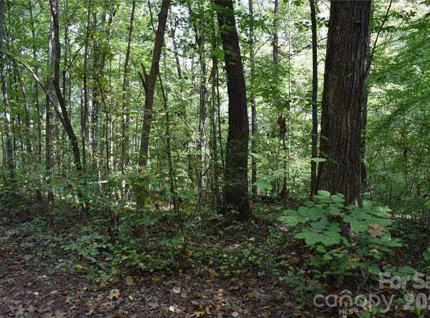#167 Rolling Road, Lincolnton, NC 28092