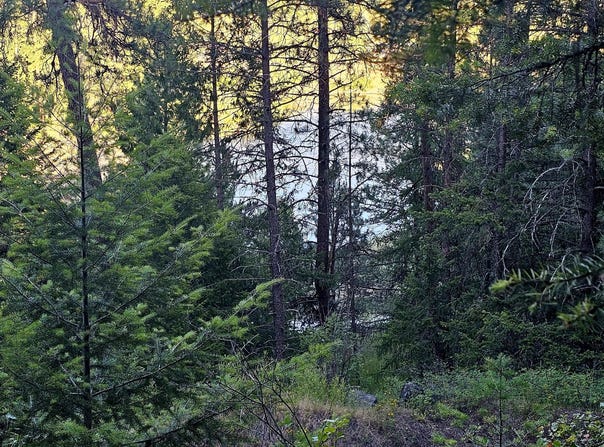 10 HUMES Rd, KETTLE FALLS, WA 99141