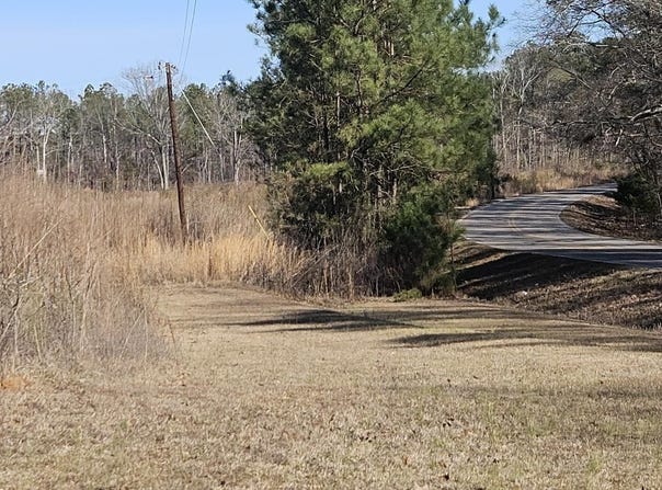 0 Lot 1 COUNTY ROAD 36 lot: 1, RANDOLPH, AL 36792