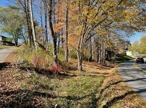 D Street, Louisa, KY 41230