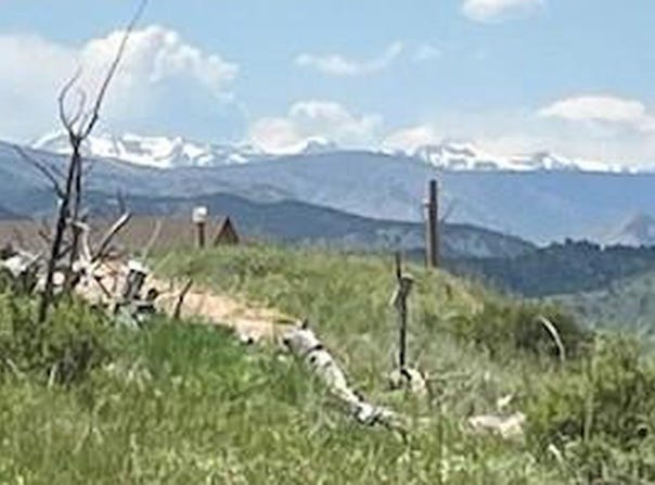 598 Mount Mcconnell Dr, Livermore, CO 80536