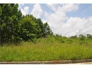 298 Randall Drive, Rockmart, GA 30153