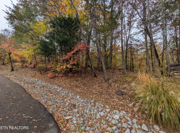 517 Clearwater Circle, Townsend, TN 37882