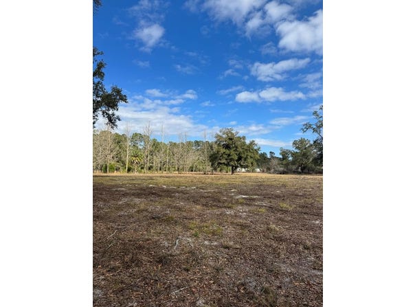 Hwy 349, Old Town, FL 32680