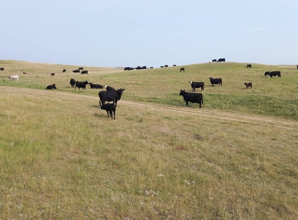ND Hwy 85, Fairfield, ND 58627