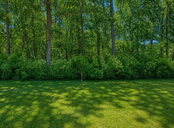 TBD Clearwater Road North, Baxter, MN 56425