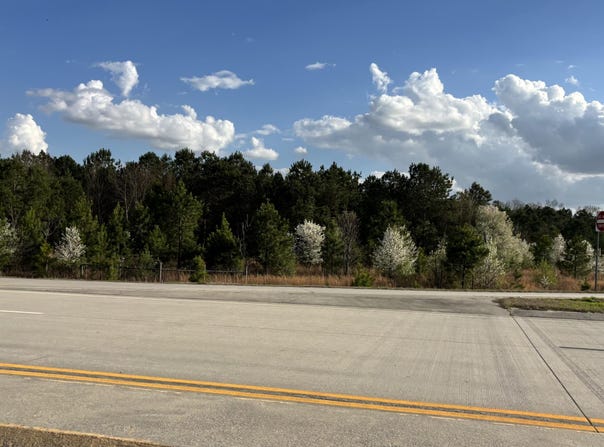 Five Chop Road, Santee, SC 29142