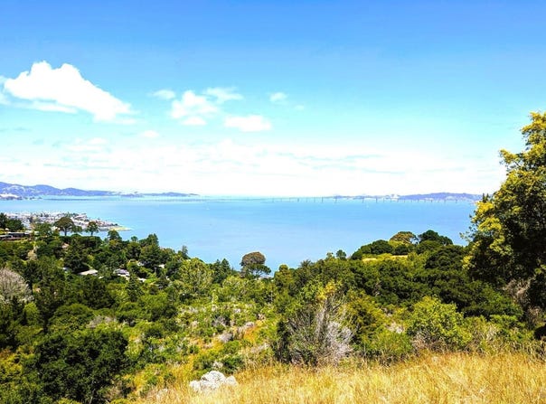 Paradise Glen, Tiburon, CA 94920
