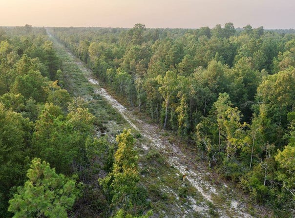 Charleston Highway, Williston, SC 29853