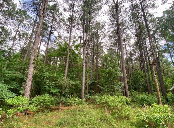 145 Eagle Nest Lane, Broken Bow, OK 74728
