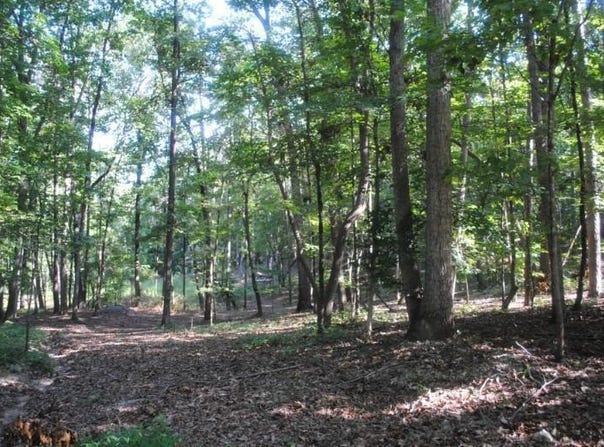 249 N Ridge Drive, LaFayette, GA 30728