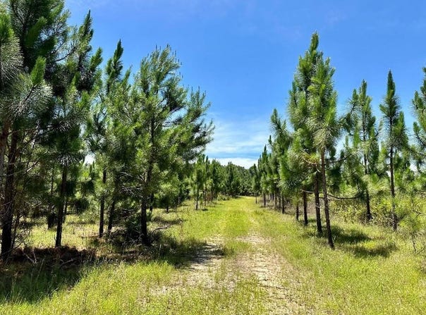 Co. Road 325, Troy, AL 36079