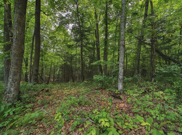 Garden Ln, McGregor, MN 55760