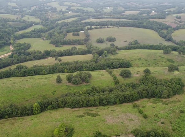 001-02789-000 BARREN HOLLOW ROAD, Marshall, AR 72650