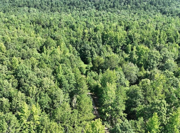 Polk Road 69, Mena, AR 71953