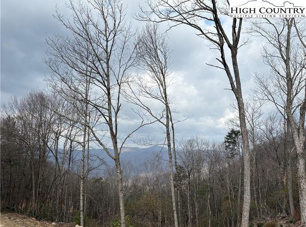 Angelfire Trail, Deep Gap, NC 28618