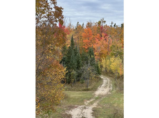 1722 Mcgregor Road, Vanderbilt, MI 49795