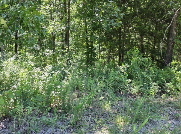 Hidden Pond Drive, Fordland, MO 65652