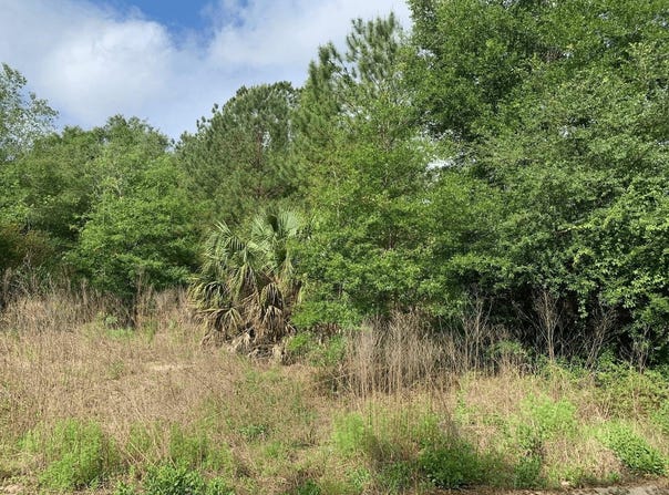 Douglas Drive, Interlachen, FL 32148