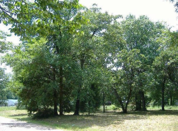 66 Westwind Road, Tool, TX 75143