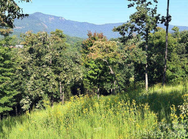 Summertime Drive, Lake Lure, NC 28746