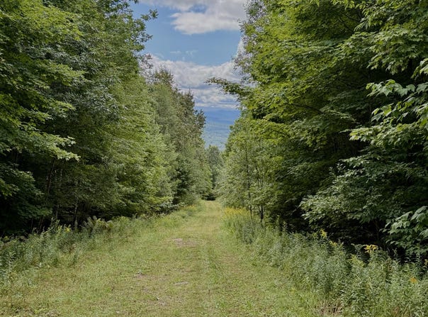 Dann Road, Saranac, NY 12981