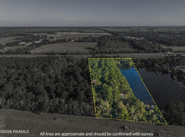 Plant Road lot: 4C, Egan, LA 70531