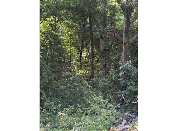 Porter Road, Honea Path, SC 29654