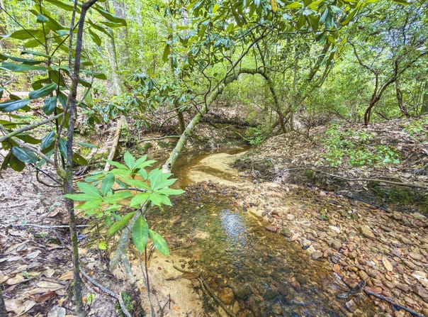 SONYAS RD, Toxey, AL 36921