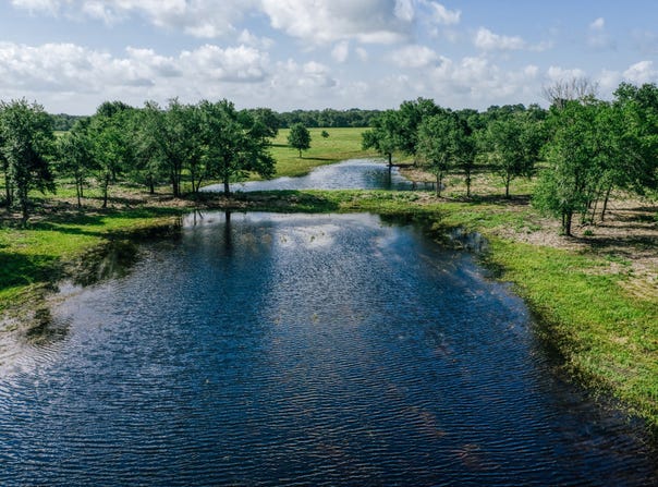 FM 39, Mexia, TX 76667