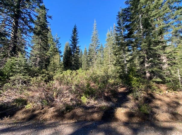 4-L-6 Winding Way, McCloud, CA 96057