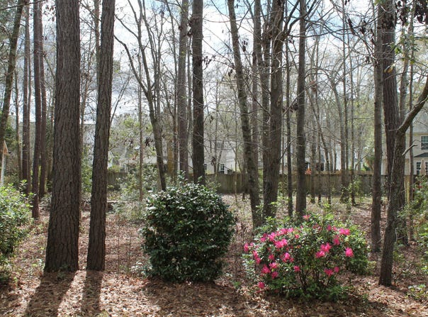 228 Comiskey Park Circle, Summerville, SC 29485