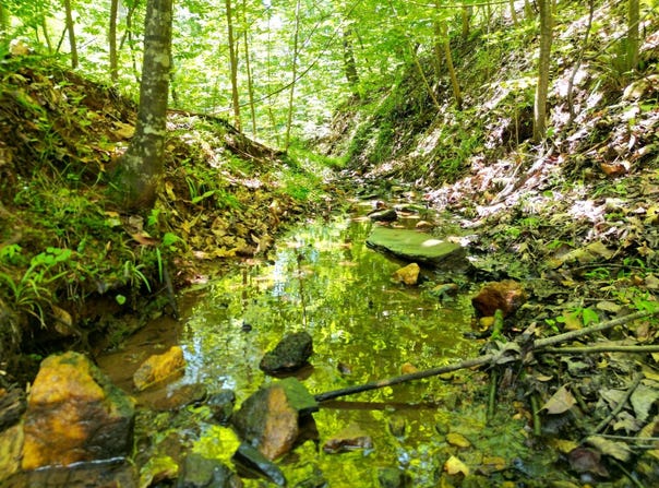 Jackson Grove Rd S, Landrum, SC 29356