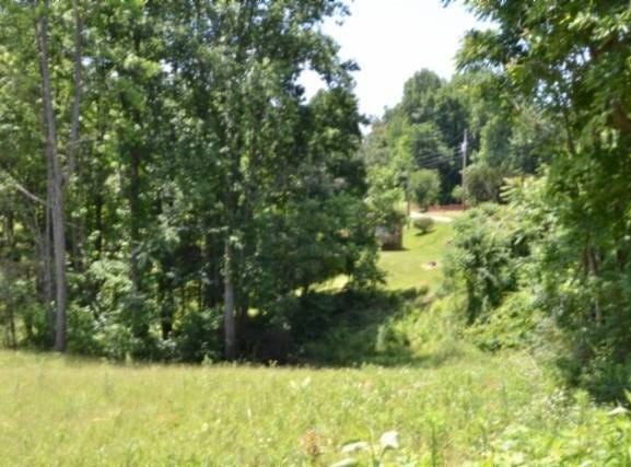 2376 Pea Ridge Fire Tower Rd, Celina, TN 38551
