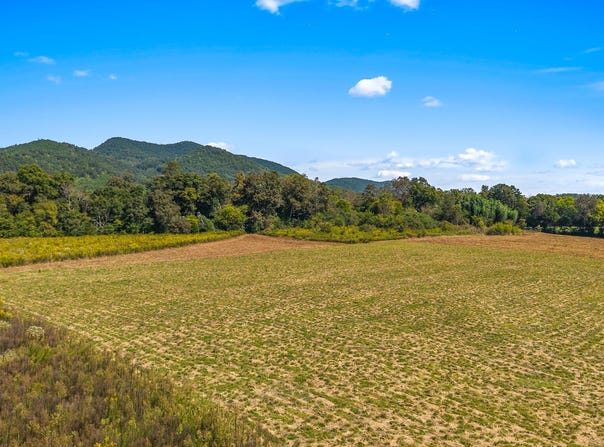 Tree Top Lane, Tellico Plains, TN 37385