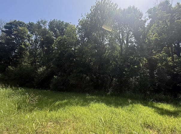 River Drift lot: 29, Heber Springs, AR 72543