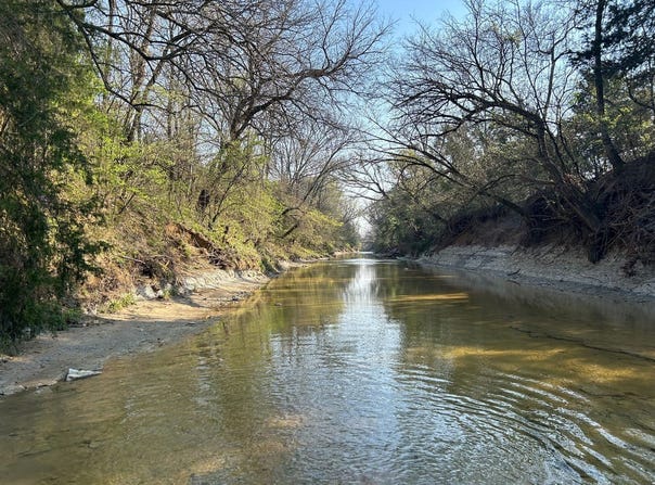 Hwy 245, Okolona, MS 38860