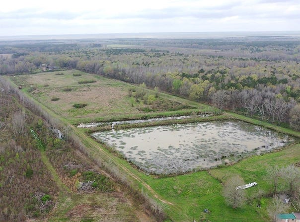 Hwy 923, Jonesville, LA 71343