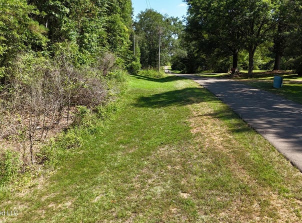 Willow Way, Flora, MS 39071