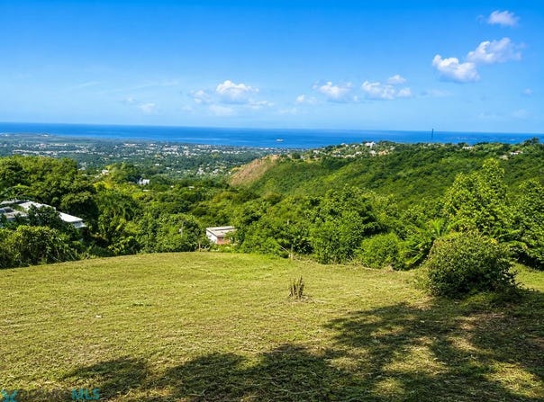 Malezas, Mayaguez, PR 00682