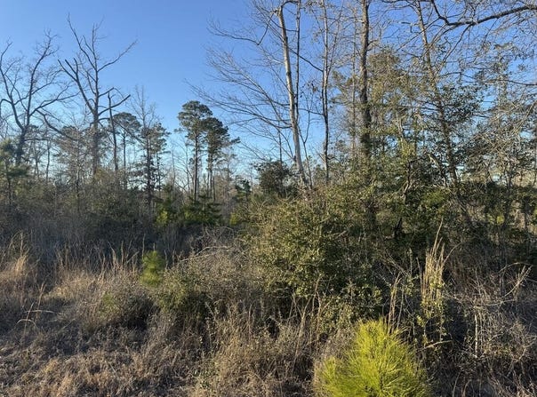 PR 6148, Jasper, TX 75951