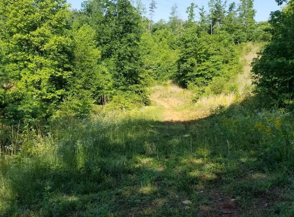 INDIAN SUMMER Ln, Ferrum, VA 24088