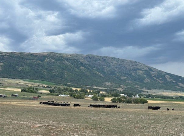 Clifton, ID 83228