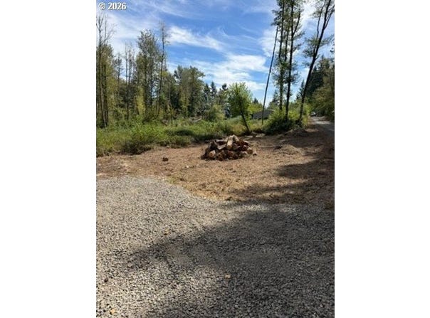 SE ZION HILL Dr, Damascus, OR 97089
