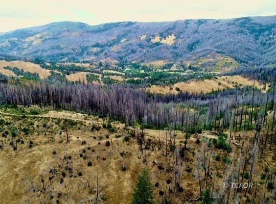 1581 Marshall Rock Rd, Ruth, CA 95526