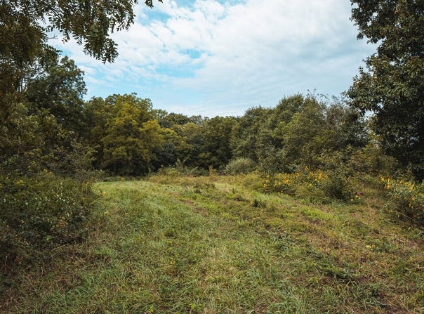 Cook Rd, Maysville, MO 64469