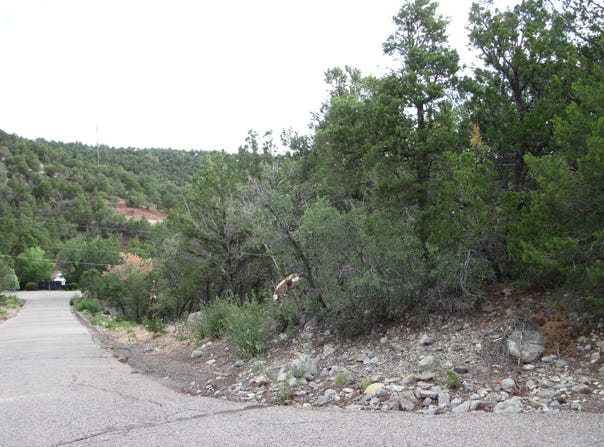 Beaver Lane, Cedar Crest, NM 87008