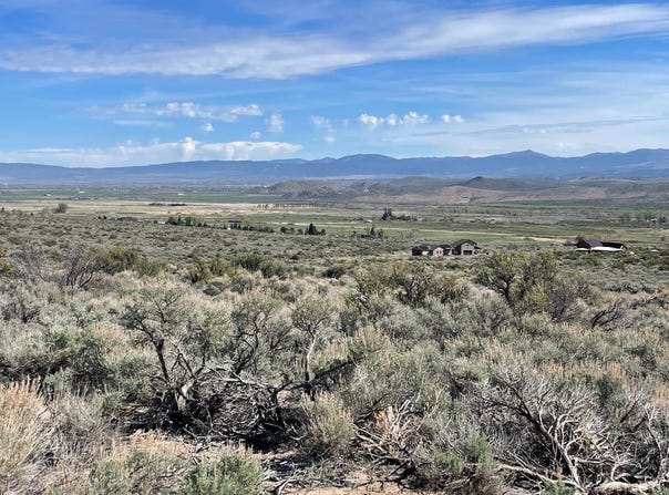 6 Hawkins Peak Road, Markleeville, CA 96120