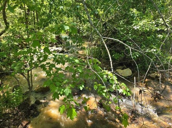 TR 53,54,58 PINE TREE TRAIL, Albion, OK 74571