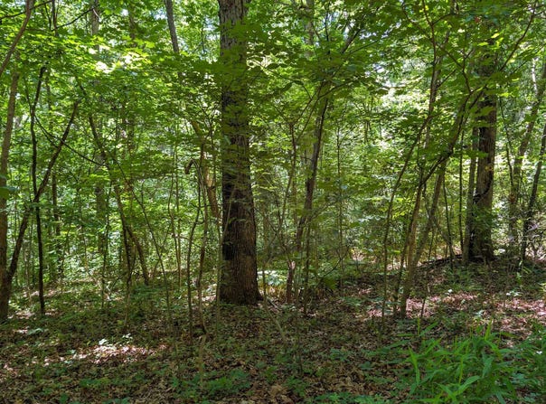 Bell Hollow Road lot: 16, Cannelton, IN 47520